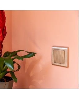 Выключатель Werkel W1110010-foto2