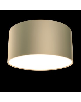 Накладной светильник Maytoni Technical C032CL-L12MG4K-foto2