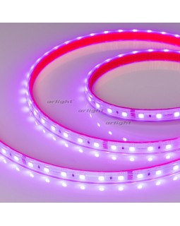 Лента Arlight 021400(2)-foto6