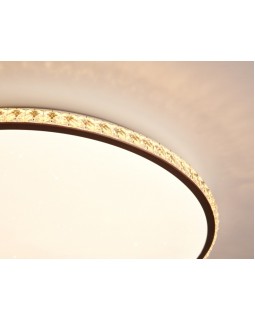 Накладной светильник Ambrella Light FF71-foto6