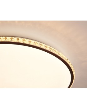 Накладной светильник Ambrella Light FF71-foto6