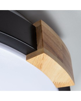 Накладной светильник ARTE Lamp A2683PL-72BK-foto4