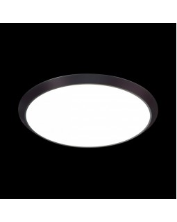 Накладной светильник Sonex 3062/50L-foto3