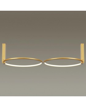 Накладной светильник Odeon Light 4319/32CL-foto4