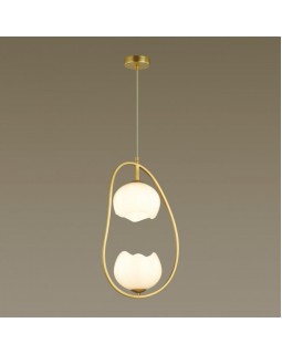 Подвесной светильник Odeon Light 4873/2-foto4