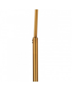 Торшер ARTE Lamp A5822PN-1PB-foto4