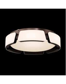 Накладной светильник Freya FR6041CL-L92W-foto3