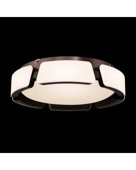 Накладной светильник Freya FR6041CL-L92W-foto3