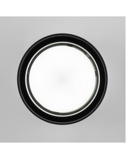 Уличный светильник Elektrostandard Light 26231 (35144/H) черный-foto2