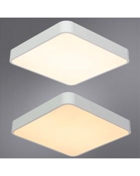 Накладной светильник ARTE Lamp A2663PL-1WH-foto3