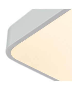 Накладной светильник ARTE Lamp A2663PL-1WH-foto4