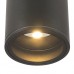 Накладной уличный светильник Maytoni O306CL-L7GF