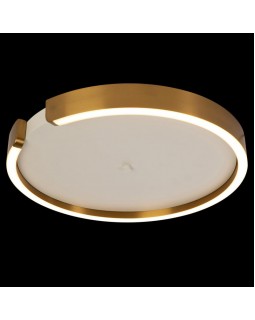 Накладной светильник LOFT IT 10026-foto2