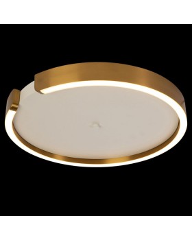 Накладной светильник LOFT IT 10026-foto2