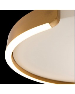 Накладной светильник LOFT IT 10026-foto4