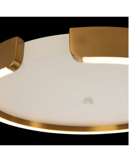 Накладной светильник LOFT IT 10026-foto5