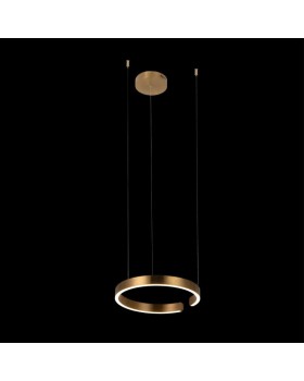 Подвесной светильник LOFT IT 10013S-foto2