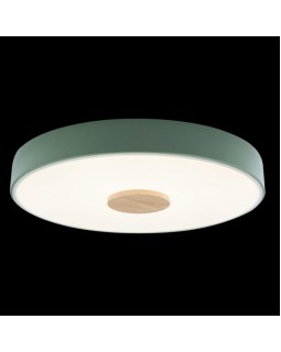 Детский светильник LOFT IT 10003/24 Green-foto2