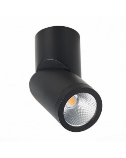 Влагозащищенный светильник ST-Luce ST650.442.10-foto2