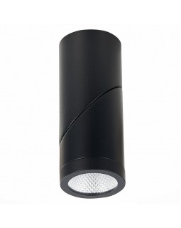 Влагозащищенный светильник ST-Luce ST650.442.10-foto4