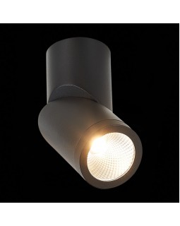 Влагозащищенный светильник ST-Luce ST650.442.10-foto5
