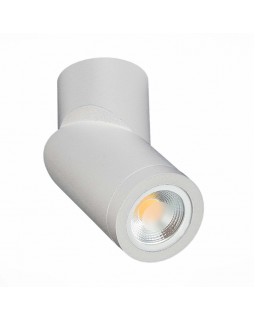 Влагозащищенный светильник ST-Luce ST650.502.01-foto2