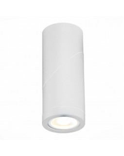 Влагозащищенный светильник ST-Luce ST650.502.01-foto3