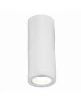 Влагозащищенный светильник ST-Luce ST650.502.01-foto3