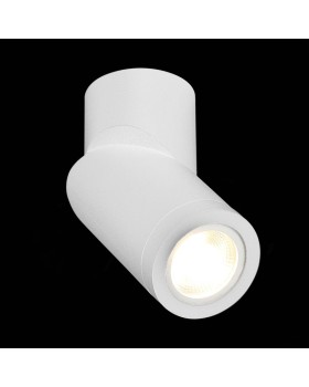 Влагозащищенный светильник ST-Luce ST650.502.01-foto4