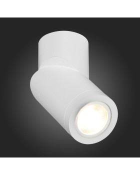 Влагозащищенный светильник ST-Luce ST650.502.01-foto5