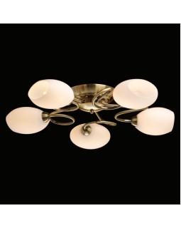 Накладная люстра MW-Light 267011805-foto2