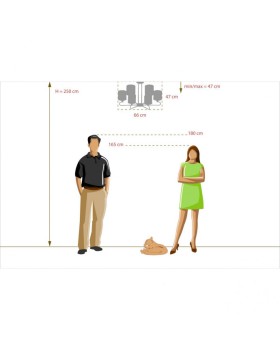 Люстра на штанге DeMarkt 667012106-foto13