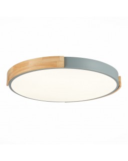 Накладной светильник Evoluce SLE201372-01-foto2