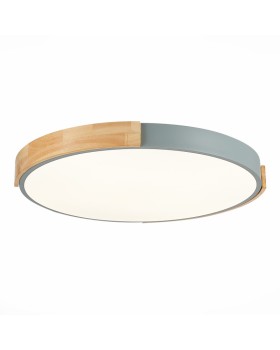 Накладной светильник Evoluce SLE201372-01-foto2