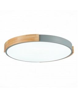 Накладной светильник Evoluce SLE201372-01-foto3