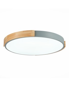 Накладной светильник Evoluce SLE201372-01-foto3