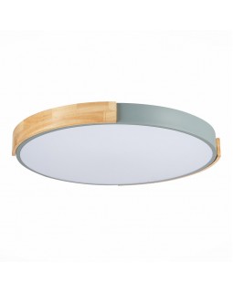 Накладной светильник Evoluce SLE201372-01-foto4