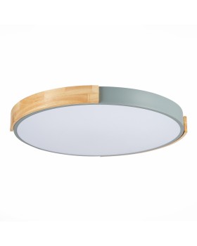 Накладной светильник Evoluce SLE201372-01-foto4