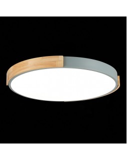 Накладной светильник Evoluce SLE201372-01-foto5