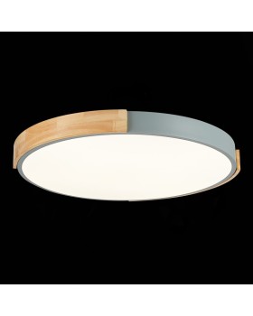 Накладной светильник Evoluce SLE201372-01-foto6