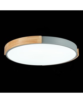 Накладной светильник Evoluce SLE201372-01-foto7