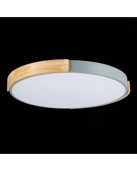 Накладной светильник Evoluce SLE201372-01-foto8