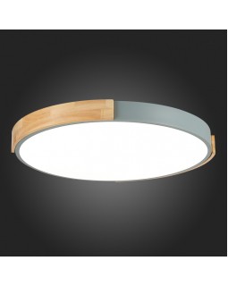 Накладной светильник Evoluce SLE201372-01-foto9