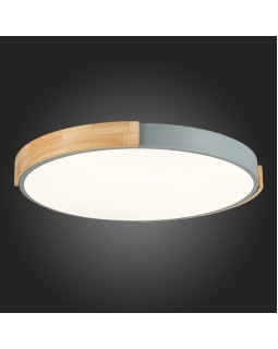 Накладной светильник Evoluce SLE201372-01-foto10