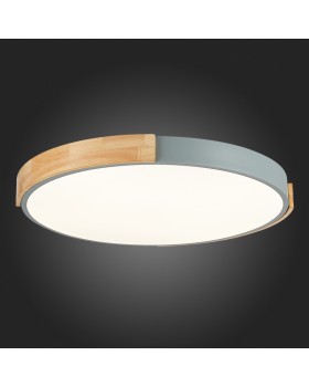 Накладной светильник Evoluce SLE201372-01-foto10