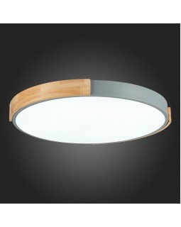 Накладной светильник Evoluce SLE201372-01-foto11