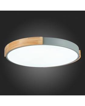 Накладной светильник Evoluce SLE201372-01-foto11