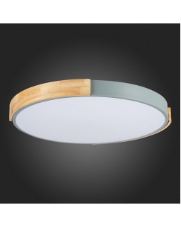 Накладной светильник Evoluce SLE201372-01-foto12