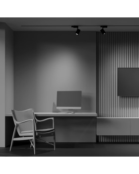 Светильник на шине Maytoni Technical TR029-3-10W4K-S-B-foto2