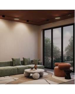 Светильник на шине Maytoni Technical TR077-2-10W4K-B-foto4